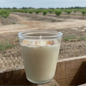 Handmade Soy Cedarwood & Sandalwood Botanical Repurposed Jar Candle